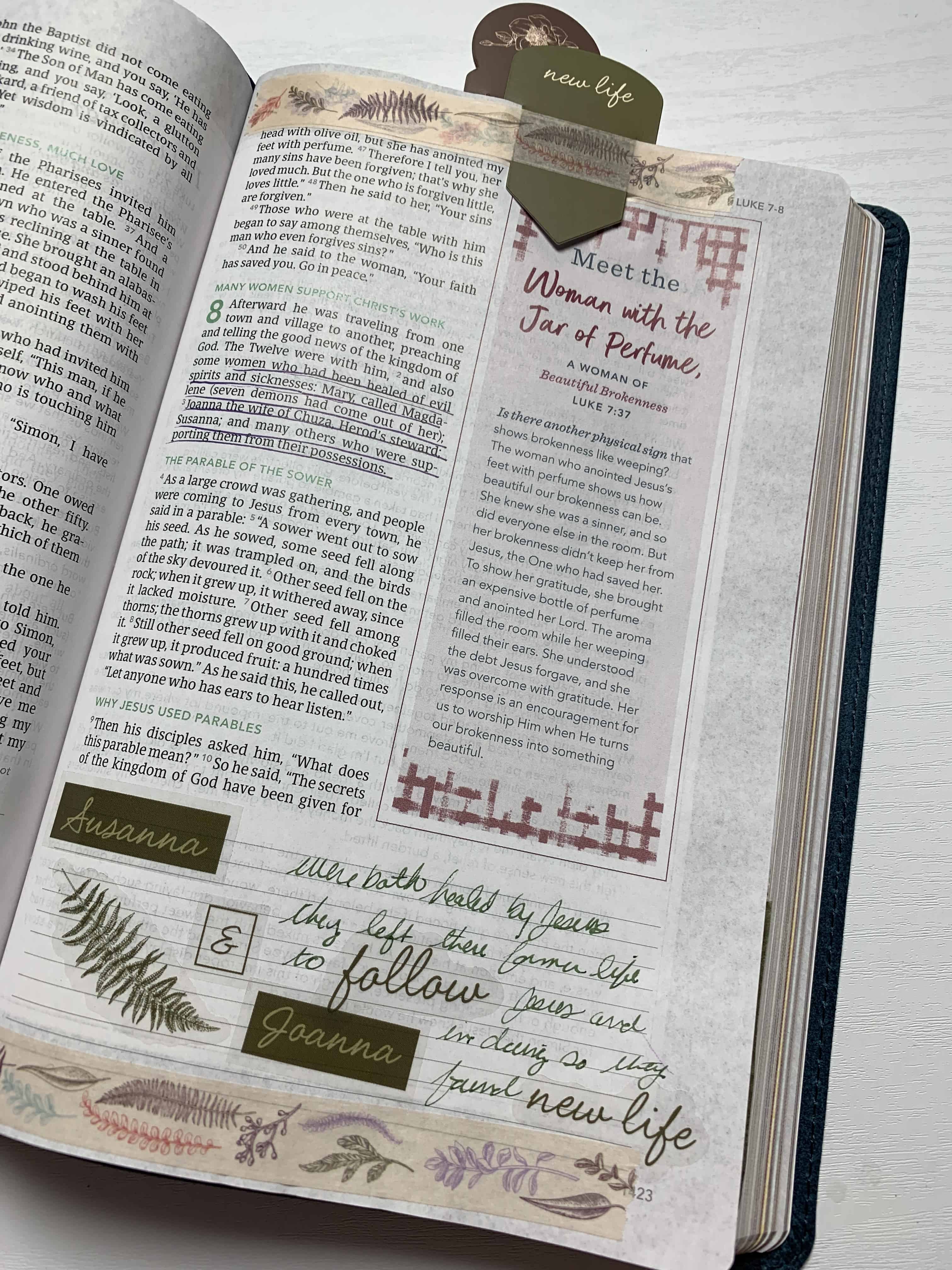 bible discovery series subscription